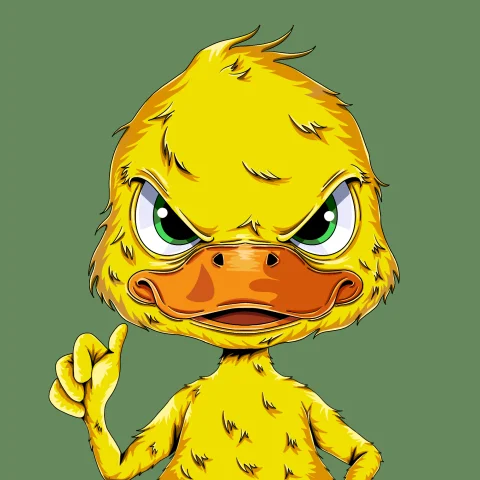 duckys 501