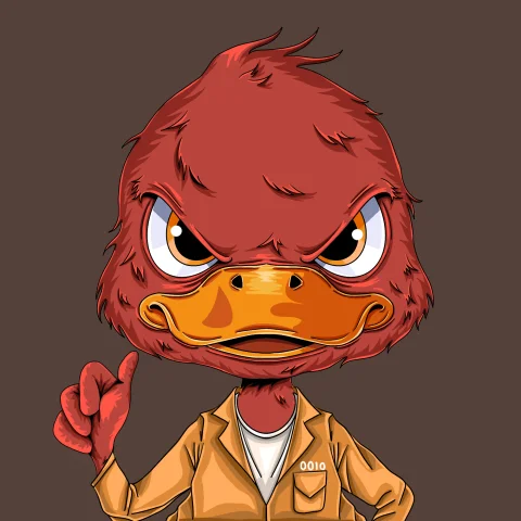 duckys 5010