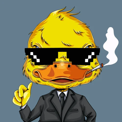 duckys 502