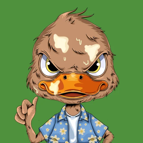 duckys 504