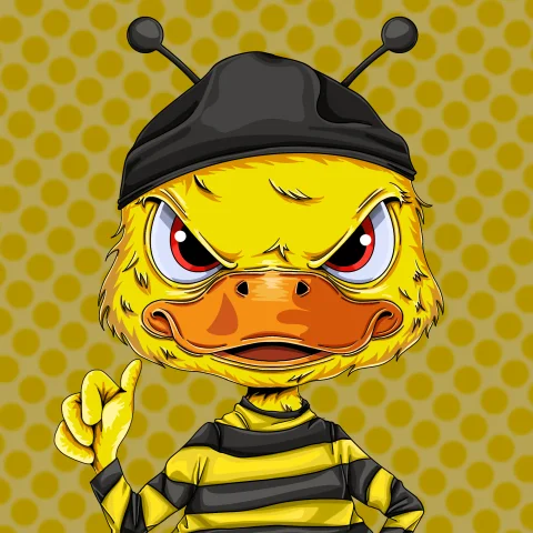 duckys 507
