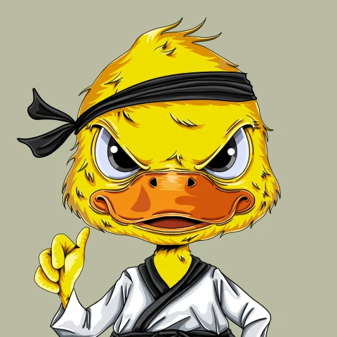 duckys 508