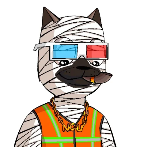 vDOGS 11
