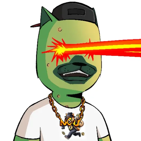 vDOGS 76